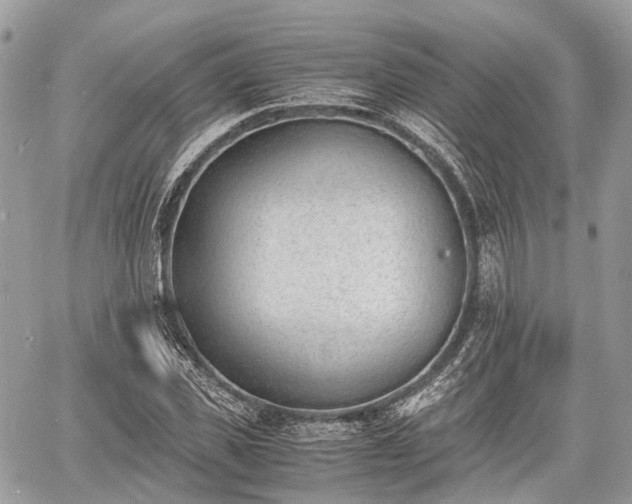 X0000060800925200511141436