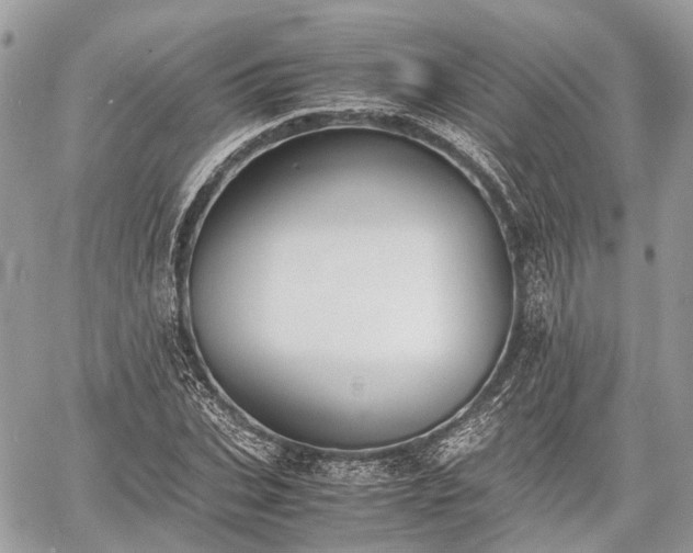 X0000060800927200511141436