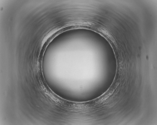 X0000060800928200511141436