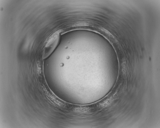 X0000060800929200511141436