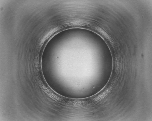 X0000060800930200511141436