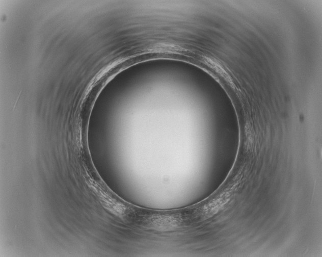 X0000060800931200511141436