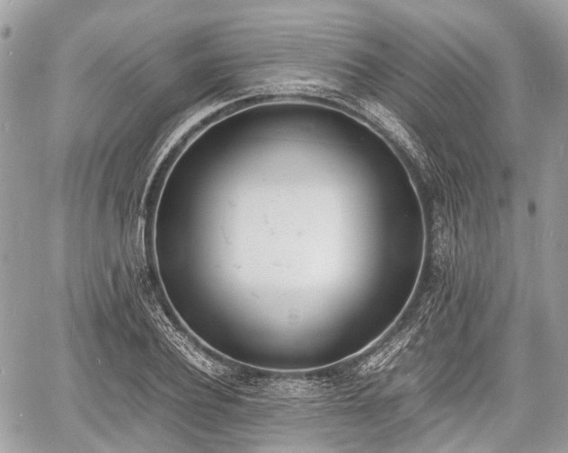 X0000060800932200511141436