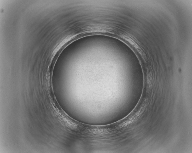 X0000060800933200511141436