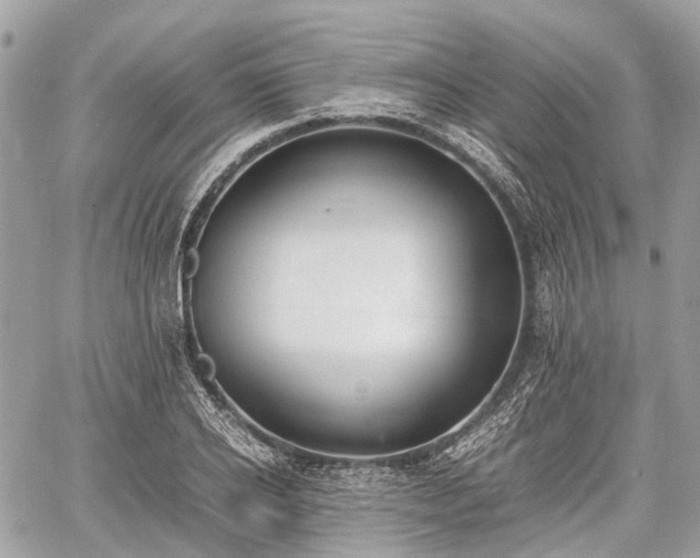 X0000060800934200511141436