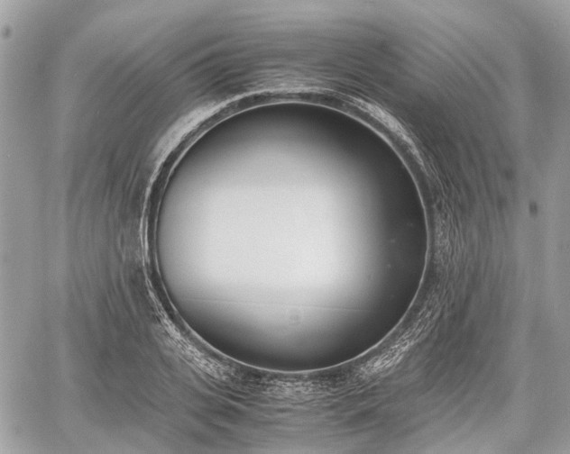 X0000060800935200511141436