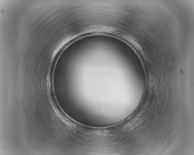 X0000060800936200511141436