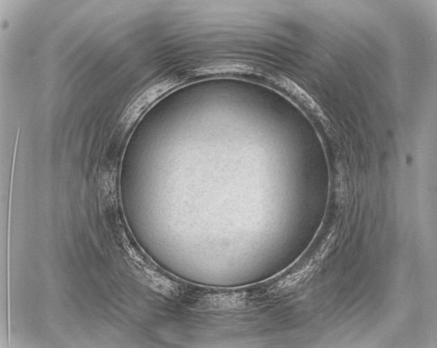 X0000060800937200511141436