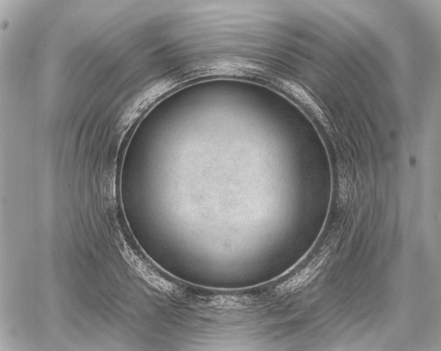 X0000060800938200511141436