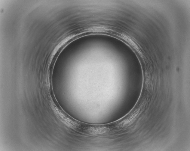 X0000060800939200511141436