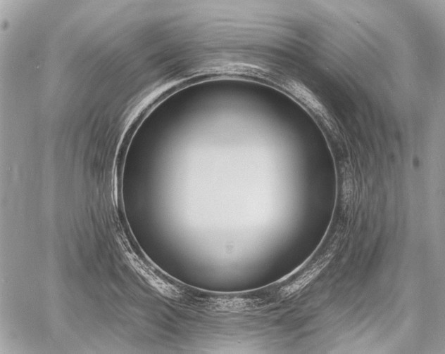 X0000060800940200511141436