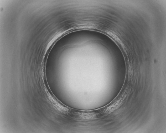 X0000060800941200511141436