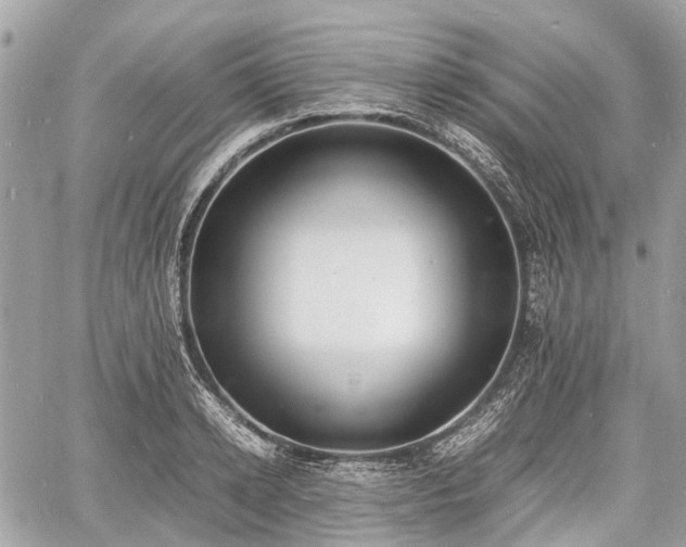 X0000060800942200511141436