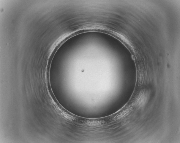 X0000060800943200511141436