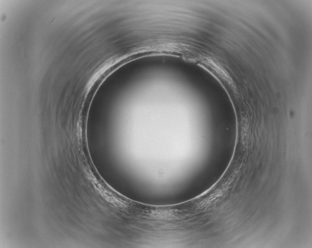 X0000060800944200511141436