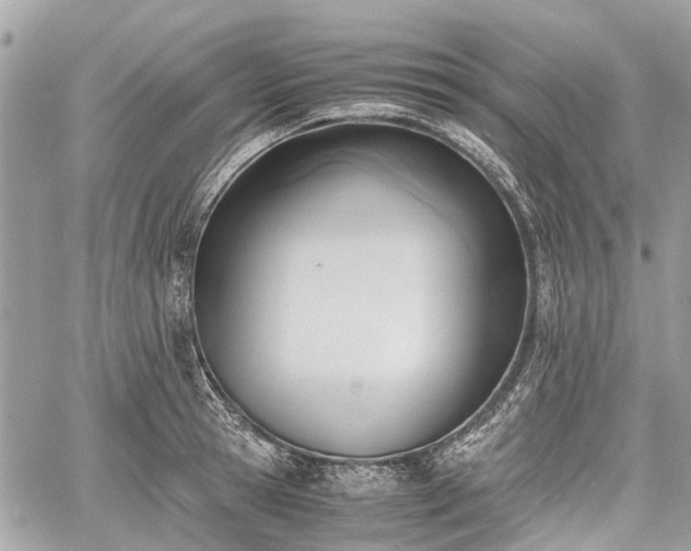 X0000060800945200511141436