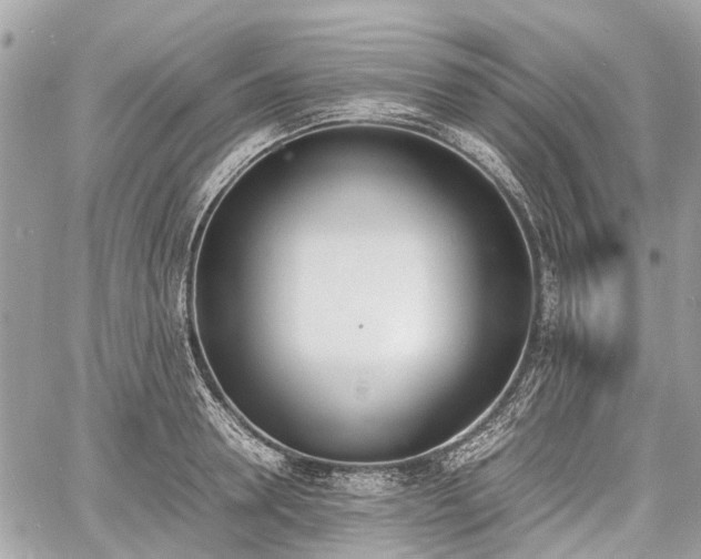 X0000060800946200511141436