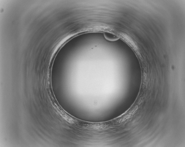 X0000060800948200511141436