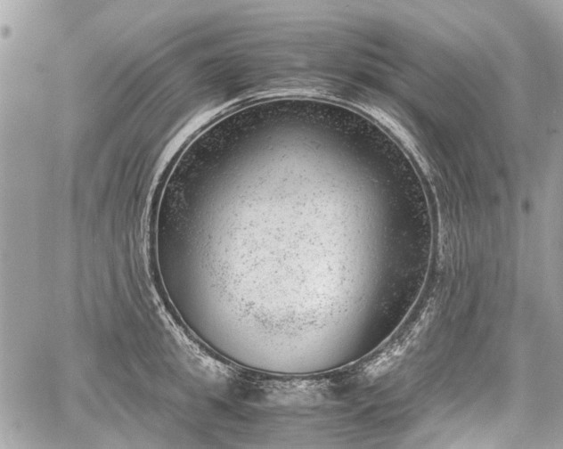 X0000060800949200511141436