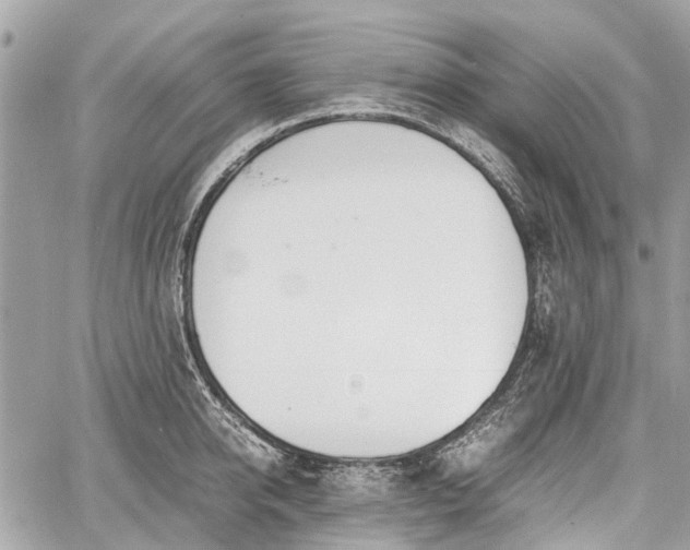 X0000060800950200511141436