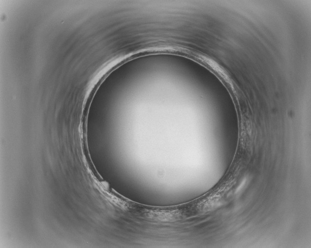 X0000060800951200511141436