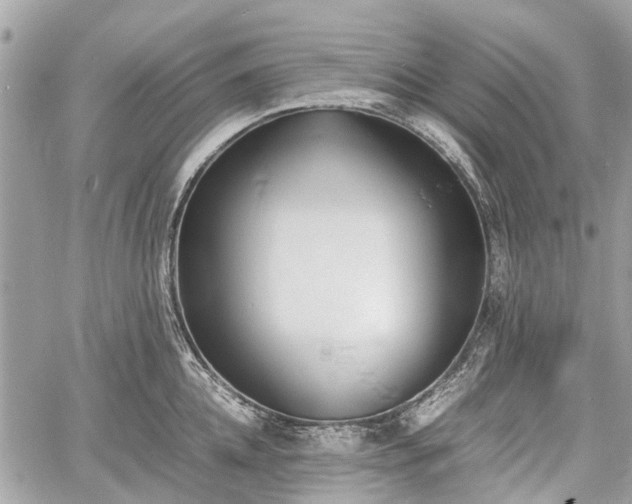 X0000060800952200511141436