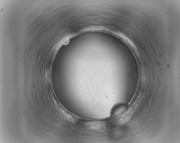 X0000060800953200511141436