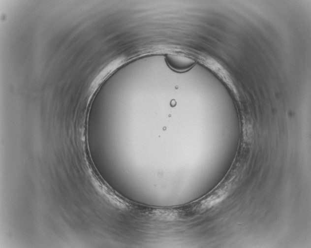 X0000060800954200511141436