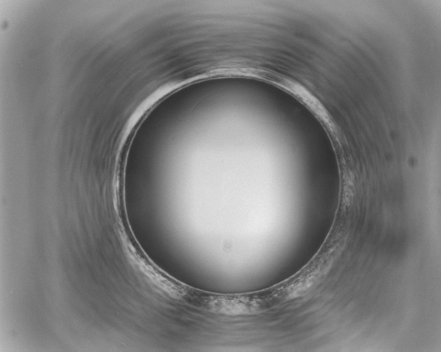 X0000060800955200511141436