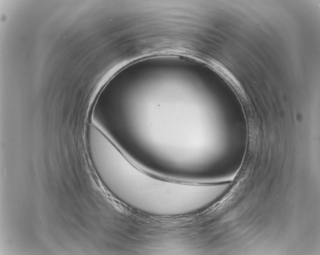 X0000060800956200511141436