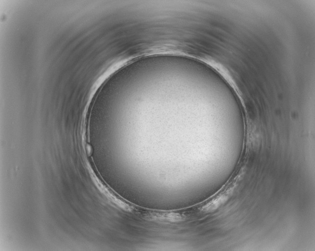 X0000060800957200511141436