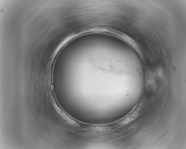 X0000060800958200511141436