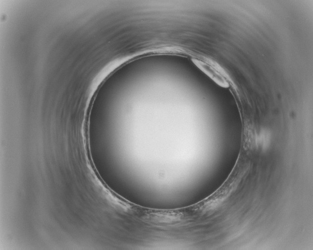 X0000060800959200511141436