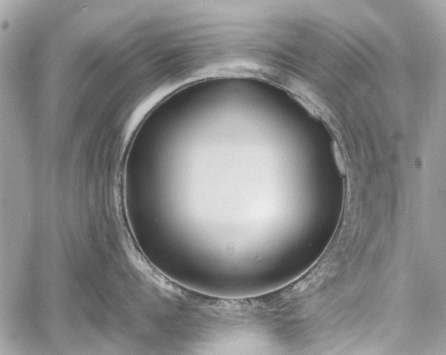 X0000060800960200511141436