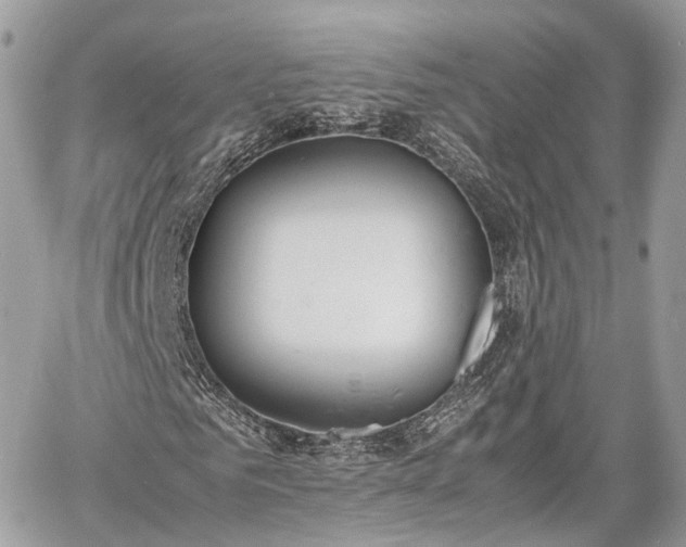 X0000060800961200511141436