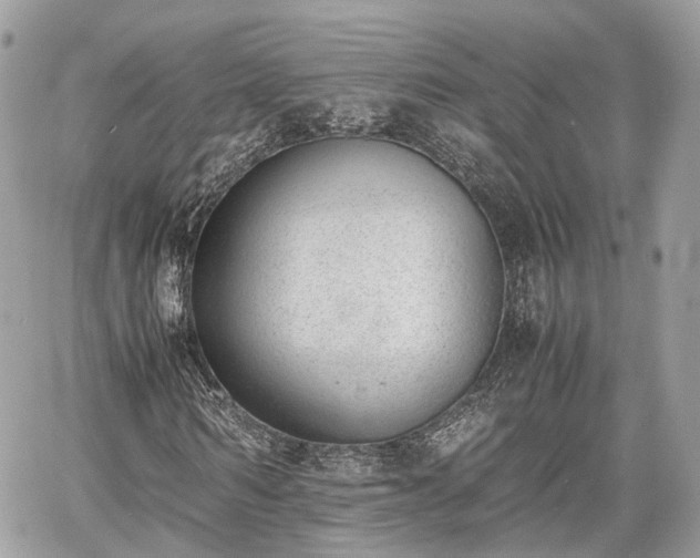 X0000060800962200511141436