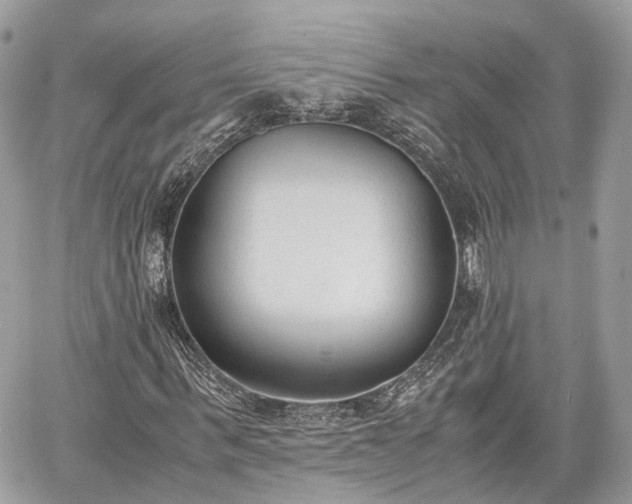 X0000060800963200511141436