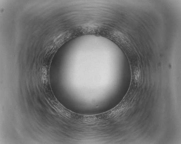 X0000060800964200511141436