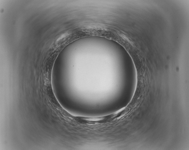 X0000060800965200511141436