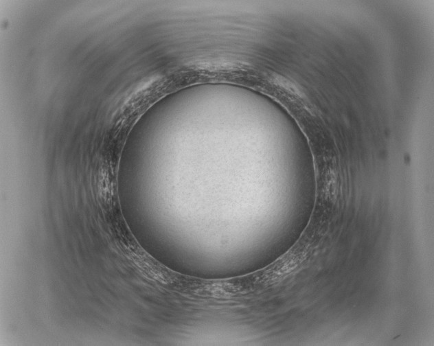 X0000060800966200511141435