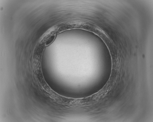 X0000060800967200511141435