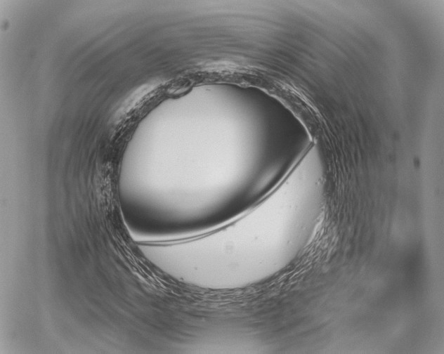 X0000060800968200511141435