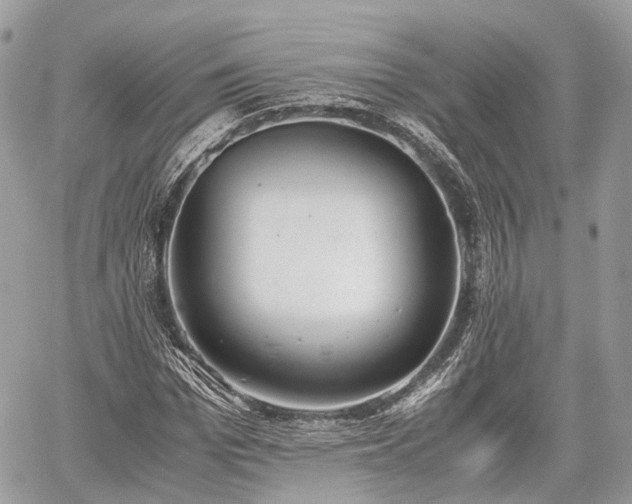 X0000060800969200511141435