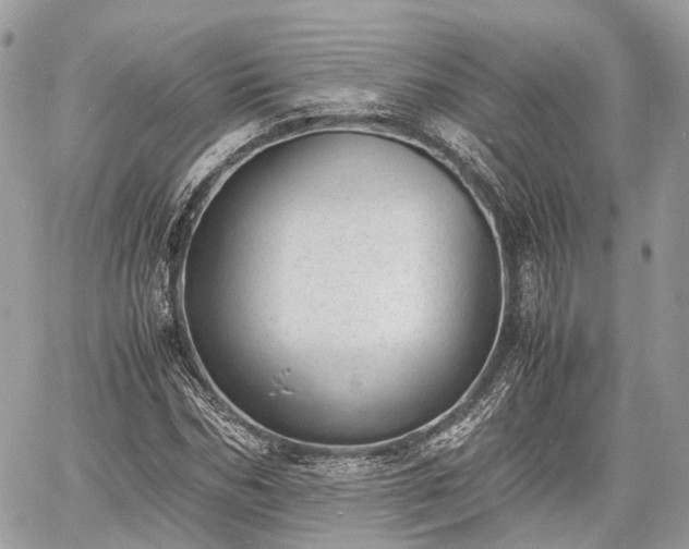 X0000060800970200511141435