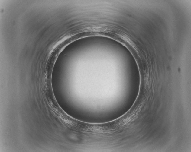 X0000060800971200511141435