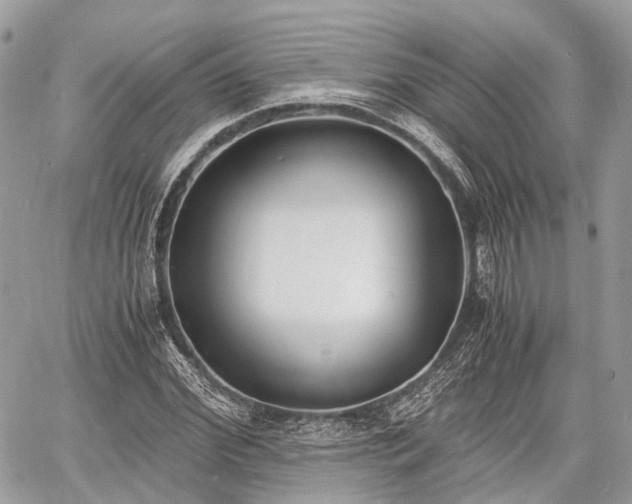 X0000060800972200511141435