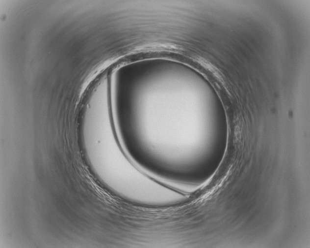 X0000060800973200511141435