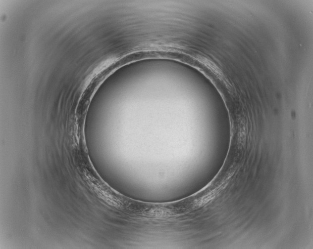 X0000060800974200511141435