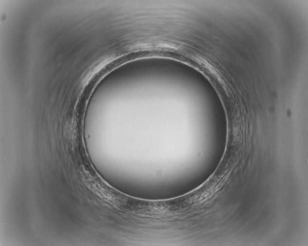 X0000060800975200511141435