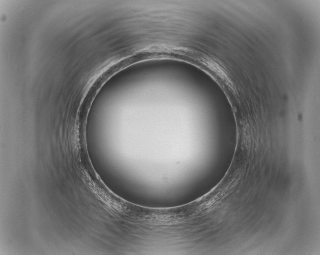 X0000060800976200511141435